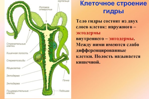 Кракен kr2connect co