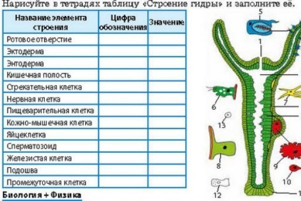 Как зайти на кракен в торе