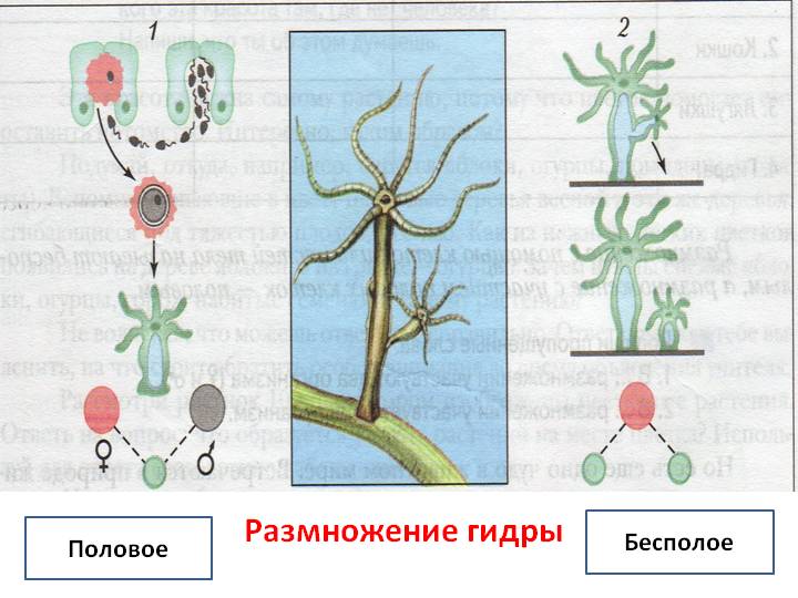 Кракен сайт официальный kraken014 com