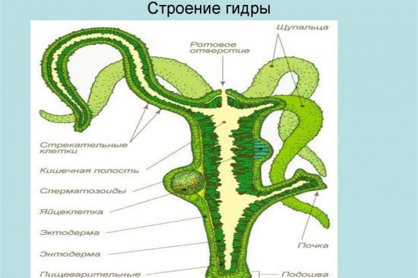 Кракен наркомагазин